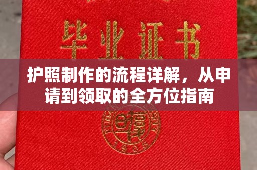 金湖护照制作的流程详解，从申请到领取的全方位指南